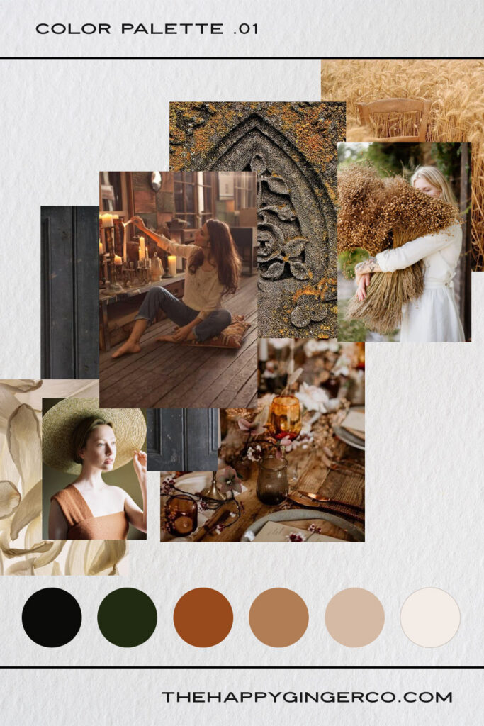 A graphic showing a moody color palette of six colors inspired by romantasy fiction.
